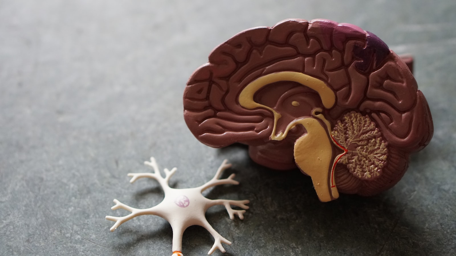 Ictus e diagnosi tardiva